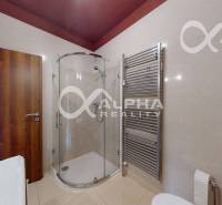 Koupelna v 2-pokojovém bytě s toaletou, sprchovým koutem a žebříkovým radiátorem.