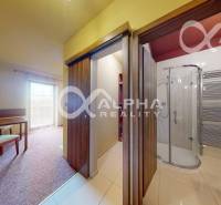 Interiér 2-pokojového bytu s kobercem, skleněným sprchovým koutem a dřevěnými dveřmi.