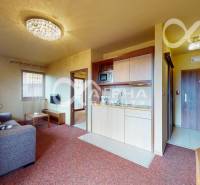 Obývací pokoj v dvoupokojovém bytě s pohovkou a kuchyňskou linkou.