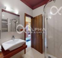 Koupelnový interiér v 2-pokojovém bytě se sprchovým koutem a umyvadlem na dřevěném dekoru.