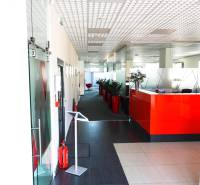 Chodba v kancelářích s červenou recepcí, rostliny v červených květináčích.