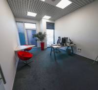 Interiér kanceláře s počítačovým stolem, červenými židlemi a dekorativní rostlinou.