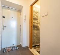 Chodba v 1-pokojovém bytě s dlažbou, vstupní dveře, koupelna, lednička.