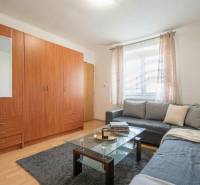 Obývací pokoj v 1-pokojovém bytě s pohovkou, skříní a stolkem, podlaha s dřevěným dekorem.