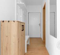 Vstupní chodba v 2-pokojovém bytě se skříňkou a podlahou s dřevěným dekorem.