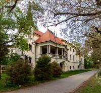 Historická budova obklopená stromy na ulici Vincenta Šikuly ve Stupavě.