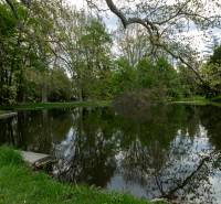 Jezero obklopené stromy a zelenou trávou ve Stupavě na Vincenta Šikulu.