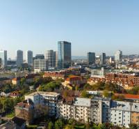 DJI_20241021110423_0294_D.JPG