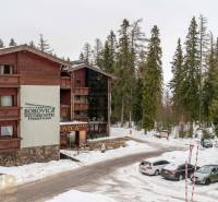 Rekreační apartmán v Popradu obklopený zasněženým lesem a parkovacím prostorem.