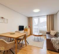 Obývací pokoj v rekreačním apartmánu s útulnou pohovkou a podlahou s dřevěným dekorem.