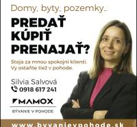 Nabídka prodeje, koupě nebo pronájmu nemovitostí s kontaktem na Silvii Salvovou.