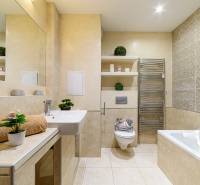 Koupelna v 2-pokojovém bytě s vanou, umyvadlem a dekoracemi na policích.