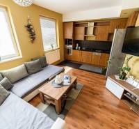 Obývací pokoj s podlahou s dřevěným dekorem, pohovkou a kuchyňskou linkou v 2-pokojovém bytě.