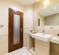 Koupelna v 2-pokojovém bytě s béžovými dlaždicemi a rostlinou na poličce.