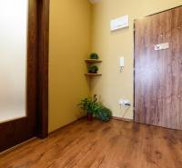 Vstupní hala 2pokojového bytu s podlahou s dřevěným dekorem a rostlinami.