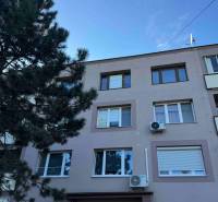 Exteriér bytového domu se stromem v Šahách a balkonem na 2-pokojovém bytě.