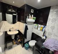 Koupelna v 2-pokojovém bytě s prostornou toaletou, umyvadlem a pračkou.