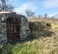 Kamenný vchod do sklepa obklopený přírodou ve vinicích blízko Zlatých Moravců.