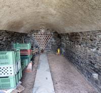 Kamenný sklep s regály a plastovými bednami ve Vinicích.