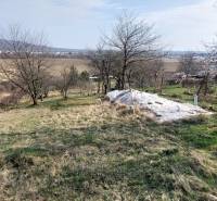 Rozlehlé vinice u Zlatých Moravců se stromy a výhledem na pole a hory.