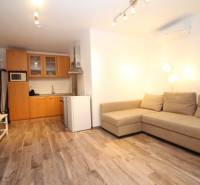 Obývací pokoj 1+kk s kuchyňským koutem a podlahou s dřevěným dekorem.