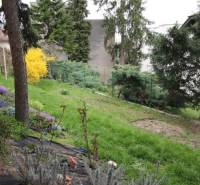 Zahrada s trávníkem, stromy a keři v Bratislavě - Starém Městě na Lichardově ulici.