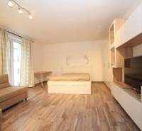 Obývací zóna v 1-pokojovém bytě s postelí a podlahou s dřevěným dekorem.