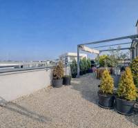 Střešní terasa 2pokojového bytu na Orechové ulici v Dunajské Lužné s rostlinami v květináčích.