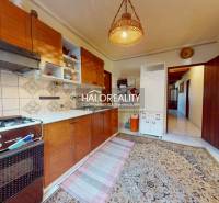 Kuchyně v rodinném domě s kobercem, plynovým sporákem a dřevěnými skříňkami.