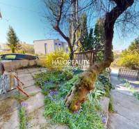 Před rodinným domem v Rimavské Sobotě je zahrada s lavičkou a stromem.