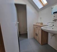 Koupelna se střešním oknem, světlými obklady a dřevěným dekorem nábytku v obchodních prostorách.