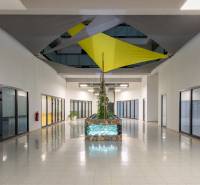 Kancelářské prostory s rostlinou, skleněné dveře a barevná střešní dekorace.