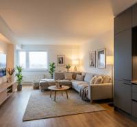 Obývací pokoj v 2pokojovém bytě s podlahou s dřevěným dekorem, šedou pohovkou a TV.