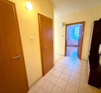 Interiér 2-pokojového bytu s dlažbou a chodbou vedoucí do obývacího pokoje.