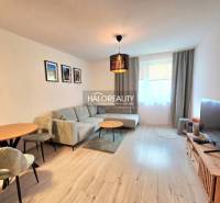 Světlý obývací pokoj v 2-pokojovém bytě s komfortní sedačkou a podlahou s dřevěným dekorem.