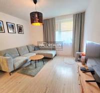 Obývací pokoj v dvoupokojovém bytě s podlahou s dřevěným dekorem a pohodlnou sedací soupravou.