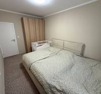 Ložnice s šedou postelí, dětskou postýlkou a šatní skříní ve 4pokojovém bytě.