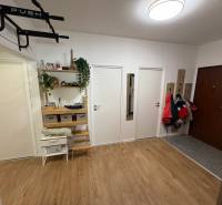 Vstupní hala se čtyřmi dveřmi, podlahou s dřevěným dekorem a věšáky ve 4-pokojovém bytě.