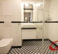 apartman_teplice_13.JPG
