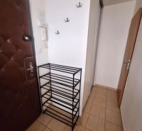 Vstupní chodba v 1-pokojovém bytě s dlažbou a botníkem.