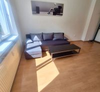 Obývací pokoj v 1-pokojovém bytě s pohovkou a podlahou s dřevěným dekorem.