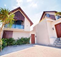 Vila na Bali se zahradou a palmami, moderní architektura, kamenný chodník.