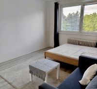 Pokoj v 1-pokojovém bytě s pohovkou, postelí a velkým oknem.