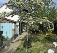 Zahrada rodinného domu v Majcichově na ulici Majcichov s rozkvetlým stromem a zahradním vybavením.