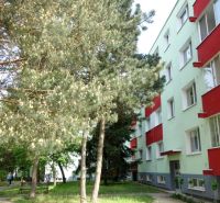 Bytový dům na ulici Karola Adlera, Bratislava - Dúbravka, obklopený vysokými stromy.