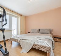 Ložnice s postelí, trenažérem a podlahou s dřevěným dekorem v 2-pokojovém bytě.
