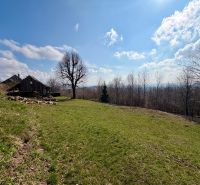 Pozemky - bydlení na prodej v Lubině na ulici Lubina, s rozlehlou zelenou plochou.