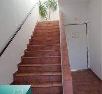 Interiér rodinného domu s červenými schody, bílými stěnami a rostlinou.
