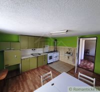 Kuchyně v rodinném domě s podlahou s dřevěným dekorem a zelenými skříňkami.