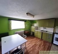 Kuchyně v rodinném domě se zelenými skříňkami a podlahou s dřevěným dekorem.
